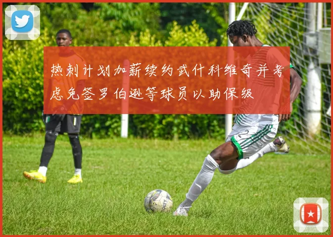 热刺计划加薪续约武什科维奇并考虑免签罗伯逊等球员以助保级